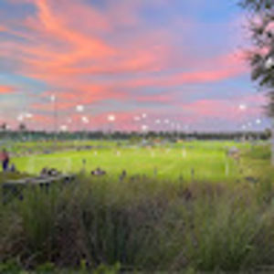 Meet your Posher, Jackson